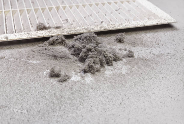 Best Affordable Air Duct Cleaning  in Stuttgt, AR